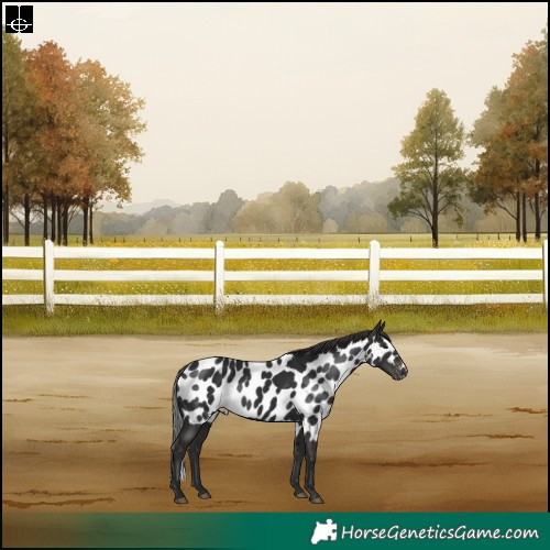 Horse Color:Liver Chestnut Skewed LP Spotted Rabicano 