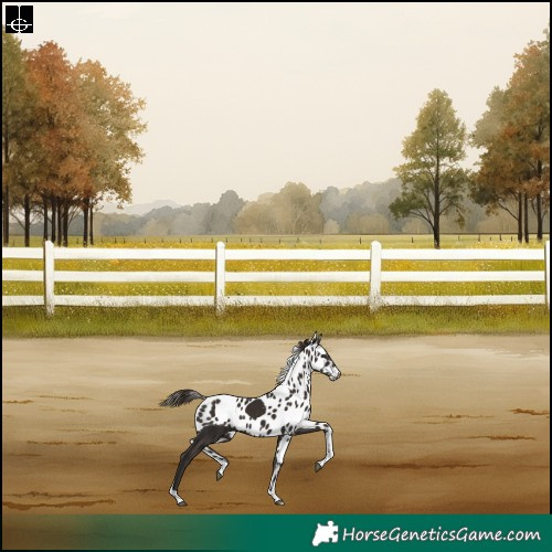 Horse Color:Liver Chestnut Tobiano Skewed LP Spotted Rabicano 