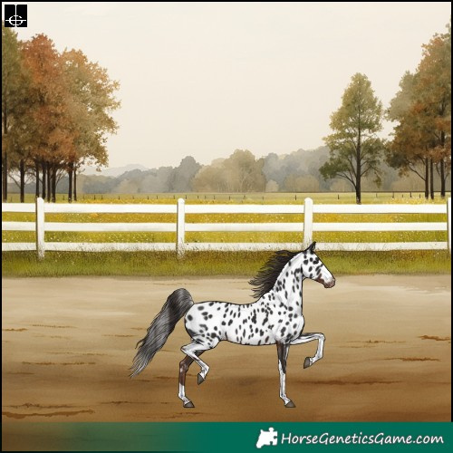 Horse Color:Liver Chestnut Tobiano Skewed LP Spotted Rabicano 
