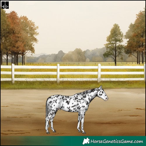 Horse Color:Liver Chestnut Tobiano Skewed LP Spotted Rabicano