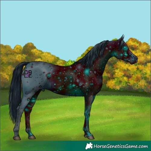 Horse Color:ERROR: UNKNOWN ANOMALY