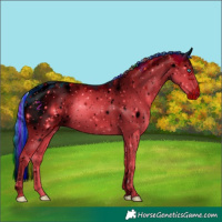 Horse Color:ERROR: UNKNOWN ANOMALY
