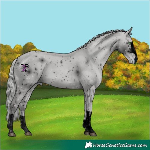 Horse Color:ERROR: UNKNOWN ANOMALY