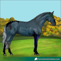 Horse Color:ERROR: UNKNOWN ANOMALY