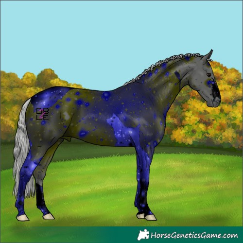 Horse Color:ERROR: UNKNOWN ANOMALY