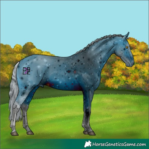 Horse Color:ERROR: UNKNOWN ANOMALY