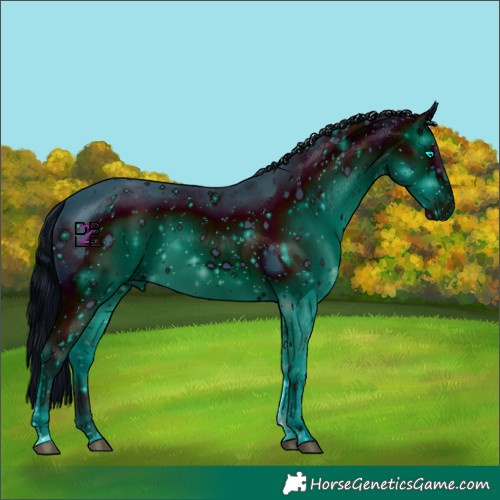 Horse Color:ERROR: UNKNOWN ANOMALY