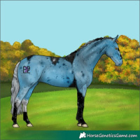 Horse Color:ERROR: UNKNOWN ANOMALY