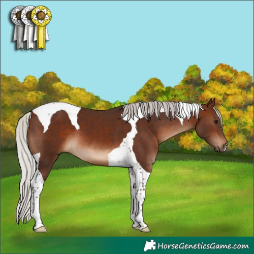 Horse Color:Silver Brown Tobiano