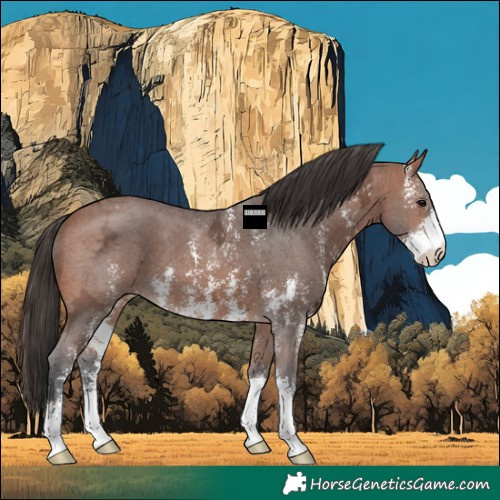 Horse Color:Bay Ice Sabino Varnish 