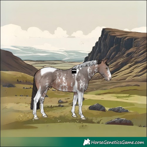 Horse Color:Brown Ice Sabino Tobiano