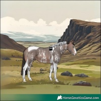 Horse Color:Brown Ice Sabino Tobiano