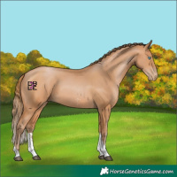 Horse Color:Bay Pearl Sabino Tobiano 