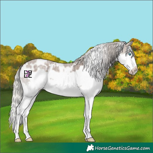 Horse Color:White Spotted Silver Blue Roan Splash Frame 