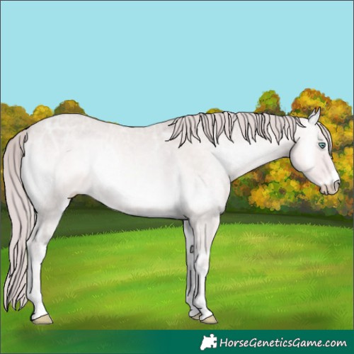 Horse Color:Platinum Perlino Ice Onyx