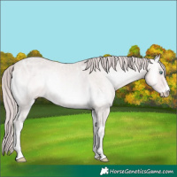 Horse Color:Platinum Perlino Ice Onyx 