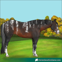 Horse Color:Powder White Brown