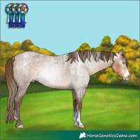 Horse Color:Powder White Gray Perlino Roan 
