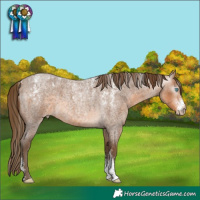 Horse Color:Powder White Gray Perlino Roan