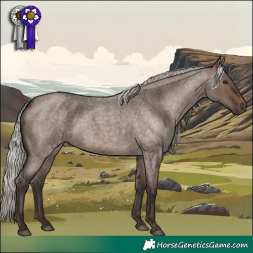 Horse Color:Silver Brown Roan Dun