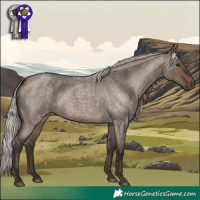 Horse Color:Silver Brown Roan Dun