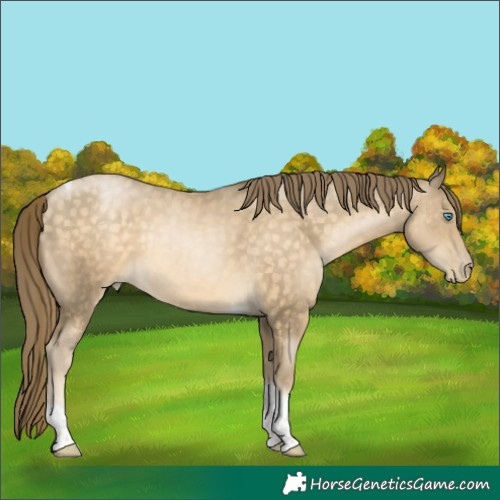 Horse Color:Brown Tobiano Rabicano