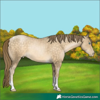 Horse Color:Brown Tobiano Rabicano