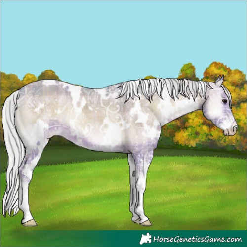 Horse Color:Watercolor Plaid  White Spotted Silver Blue Onyx Ice Sabino Appaloosa 