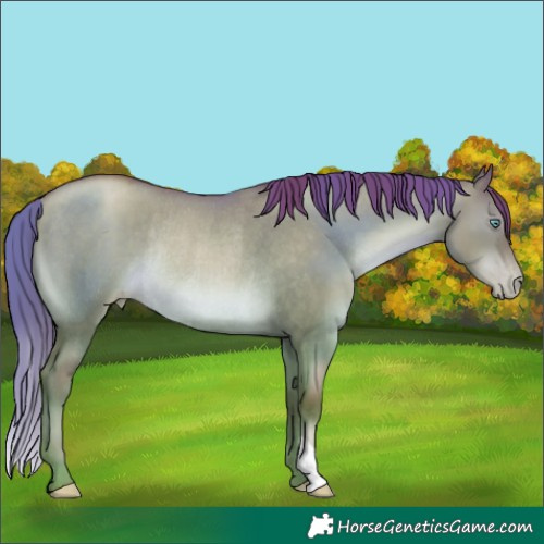 Horse Color:Chocolate Brown Pearl Dun Rabicano 