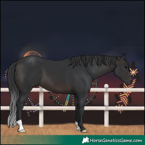 Horse Color:Brown 