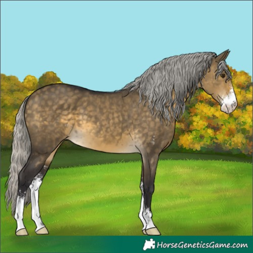 Horse Color:Silver Buckskin Dun Sabino 