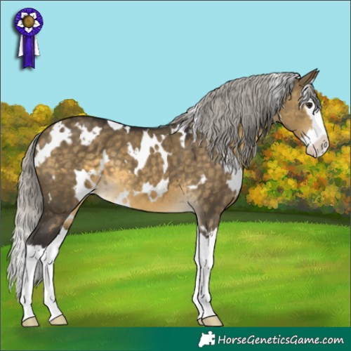 Horse Color:White Spotted Silver Buckskin Dun Splash 
