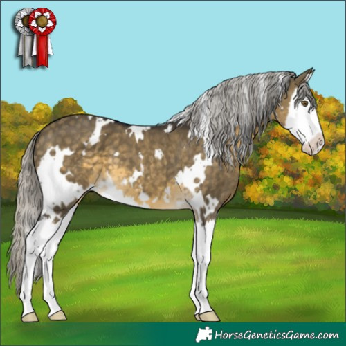 Horse Color:White Spotted Silver Buckskin Dun Mushroom Splash 