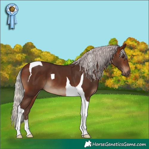 Horse Color:Silver Brown Tobiano