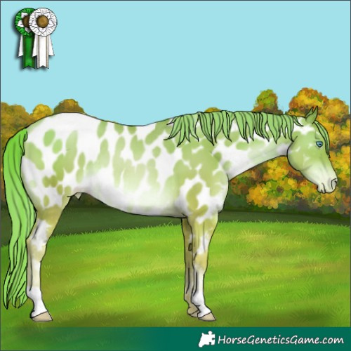 Horse Color:Gold Champagne Pearl Appaloosa Rabicano