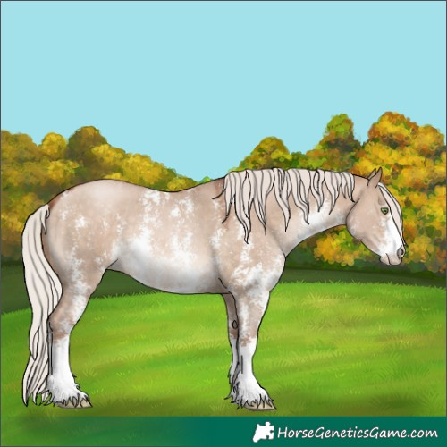 Horse Color:Silver Brown Pearl Dun Sabino 