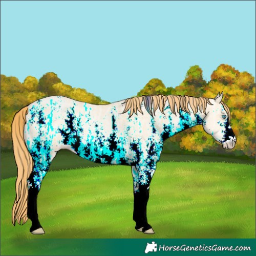 Horse Color:Buckskin Ice Pearl Dun Sabino 