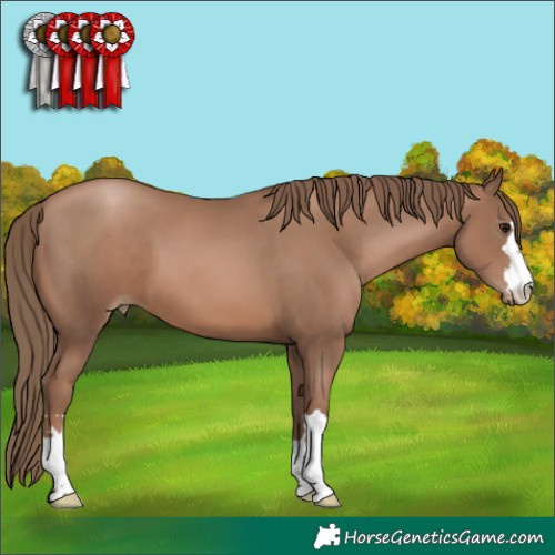 Horse Color:Black Pearl 