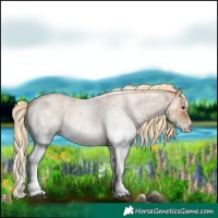 Horse Color:White Spotted Red Roan 
