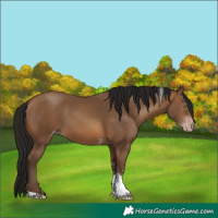 Horse Color:Gray Amber Champagne Sabino Tobiano