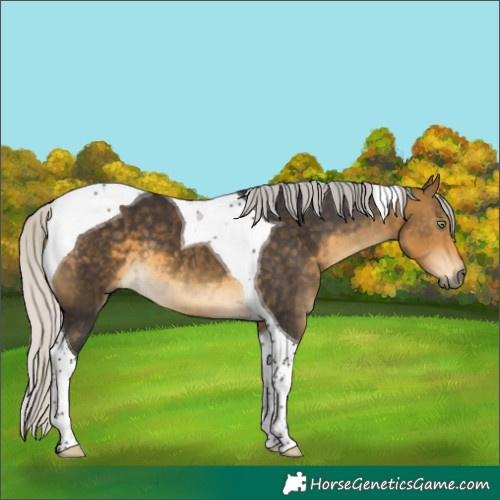 Horse Color:Silver Buckskin Tobiano 