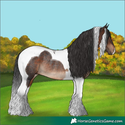 Horse Color:Brown Tobiano Rabicano 
