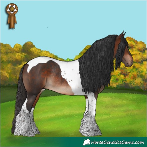 Horse Color:Brown Tobiano Rabicano