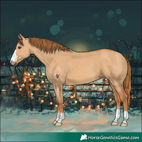 Horse Color:Red Dun 