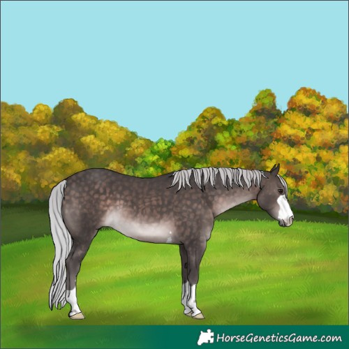Horse Color:Platinum Silver Brown 