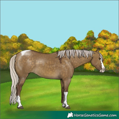 Horse Color:Chocolate Silver Buckskin Dun Sabino Splash Tobiano 
