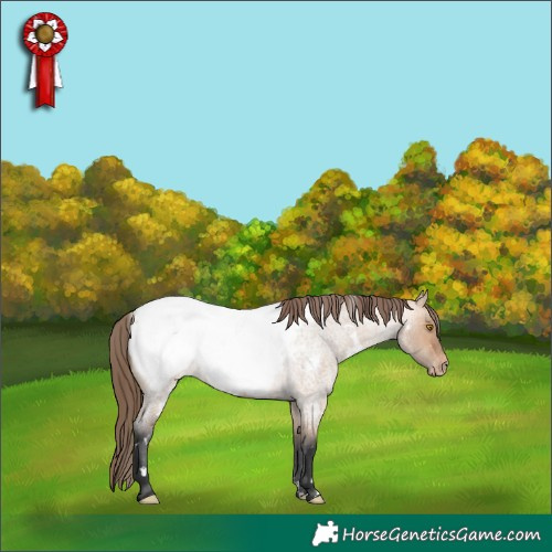 Horse Color:White Spotted Bay Roan Dun Appaloosa 