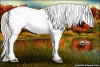 Horse Color:White Spotted Silver Bay Splash 