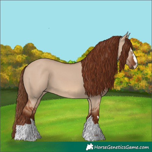 Horse Color:Red Dun 