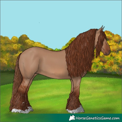 Horse Color:Red Dun 